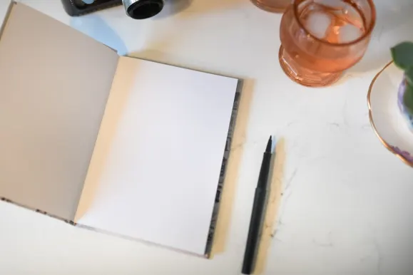 아폴로벳 카지노 지원